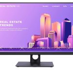 REF. Dell Monitor P2422H 24'' HDMI/DP/VGA 2022